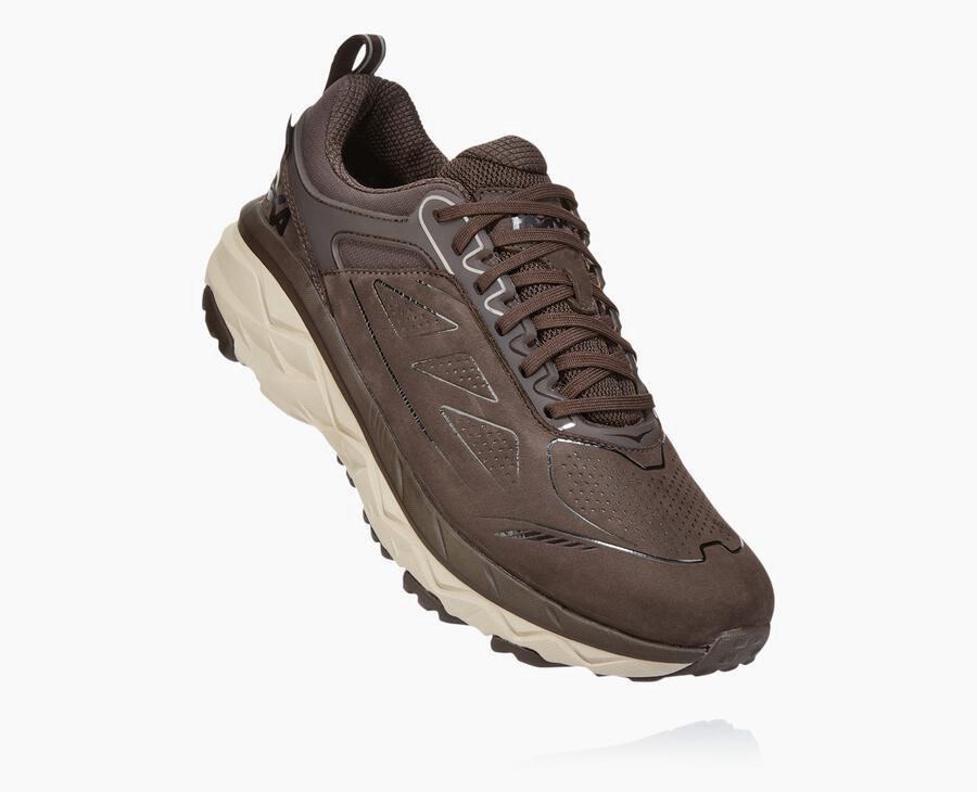 Tenis Trail Hoka One One Masculino Marrom - Challenger Baixo Gore-Tex - 619-GYXJZM